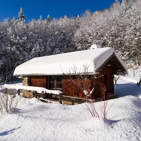 5-sterne-wohnung-falkenstein-direkt-am-nationalpark-bayerischer-wald *