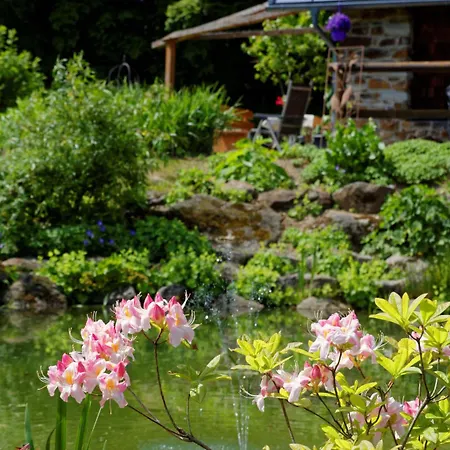 5-sterne-wohnung-falkenstein-direkt-am-nationalpark-bayerischer-wald Spiegelau